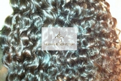 IMG_20151018_081321[1]